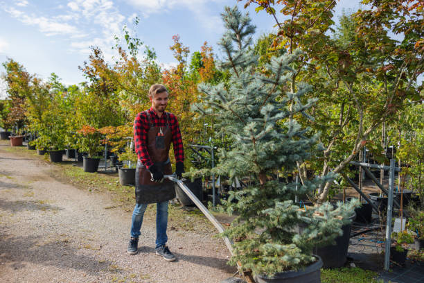 Mulching Services in Fruitland Park, FL